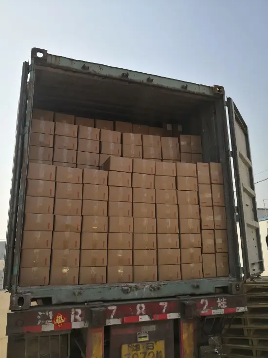 Сухогрузный морской контейнер 20 футов (стандартный), артикул CCLU3493324